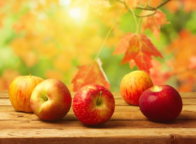 Wallpaper apple, fruit, autumn, 4k, Food 206296761